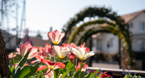 Square Albert-Trépied © Vincent Coutin